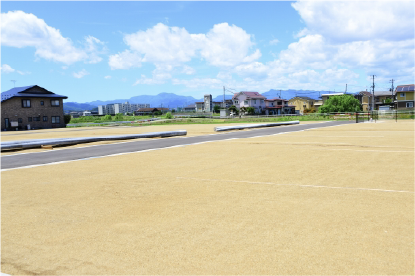 敷地の魅力発見!