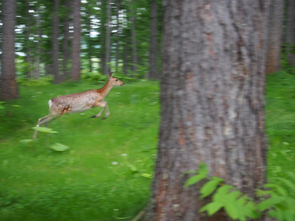 ギャラリーテスト