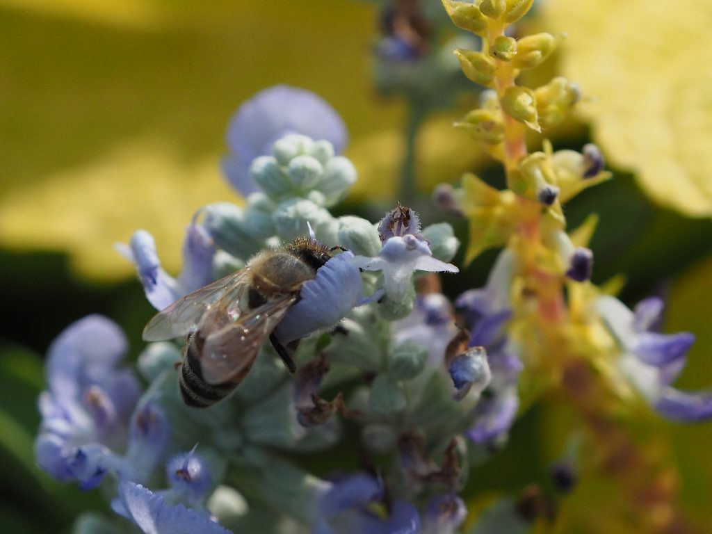 不動産情報テスト